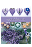 Lavendelsommer